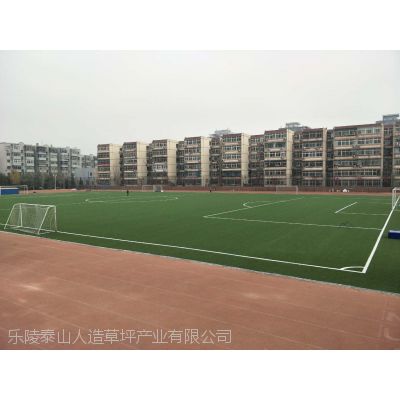 北京国际足联FIFA认证人造草坪足球场