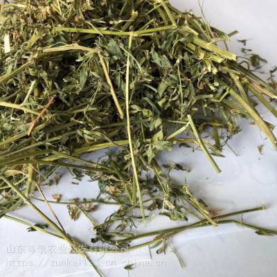 尊凯农业***采购2020年紫花苜蓿草 牛马羊动物牧草饲料