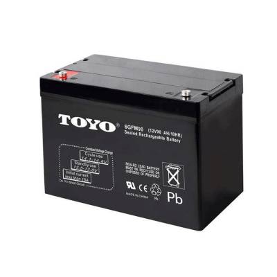 TOYO6GFM70 12V70AH/20HRUPS/EPSϵԴ