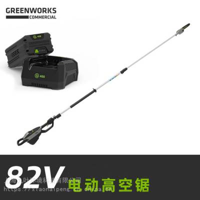 GreenworksPSB402֦82v綯߿վ