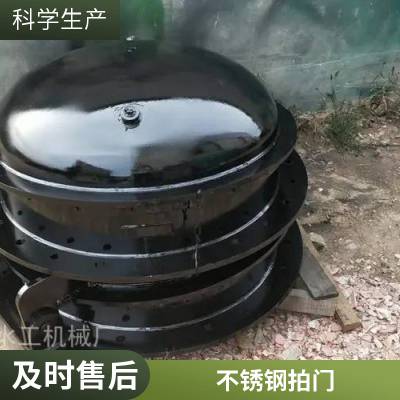 前进精密铸造 球墨铸铁拍门 密封性强 规格齐全 支持定制