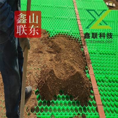 塑料草坪格 植草砖 景区停车场绿化植草格 绿色