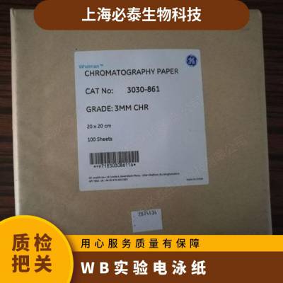 GE whatman3MM层析纸卷状纤维素层析纸 Grade 3 Chr 3030-861