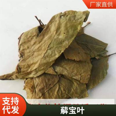 新货麻布叶 烂布渣 布包木中药材散装优质 新货上市价格优惠