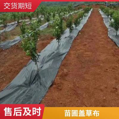 蔬菜果园防草布 黑色白色园艺地布编织***苗圃打孔切片除草布