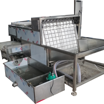 鸭蛋鸡蛋剥壳机小型五香蛋脱壳机熟鸡蛋去壳设备