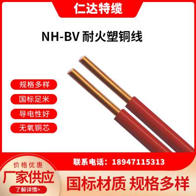 ʴ  NH-BV 450/750V ͭоо ͻԴ 1*4mm?