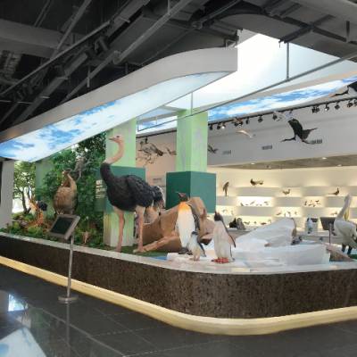 上海标准展馆设计实施 上海励丰创意展示供应