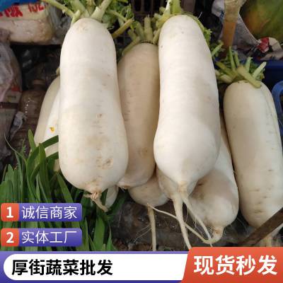 东莞食堂承包蔬菜配送食堂承包蔬菜批发件深圳蔬菜批发配送及时蔬菜配送哪一家好东莞市铭佳农产品配送服务有