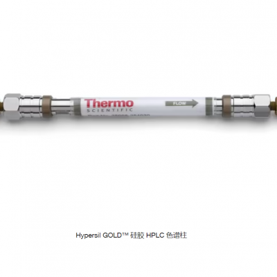 25103-154630赛默飞色谱配件分析柱25103-153030
