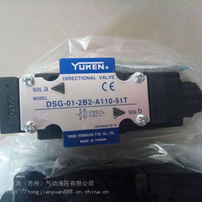 ԭװ̨YUKENŻDSG-03-2B2-D24-N1-51