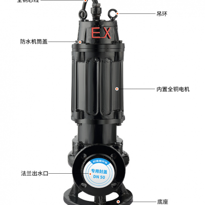 65WQ/QW37-13污水泵化粪池抽粪潜水排污泵潜污泵污泥泵