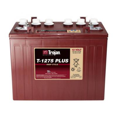 T-145 6V260AH