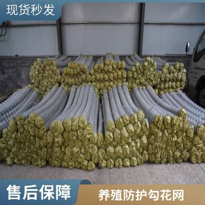 养殖牛羊热镀锌勾花网 煤矿支护菱形隔离防护网 机械编织