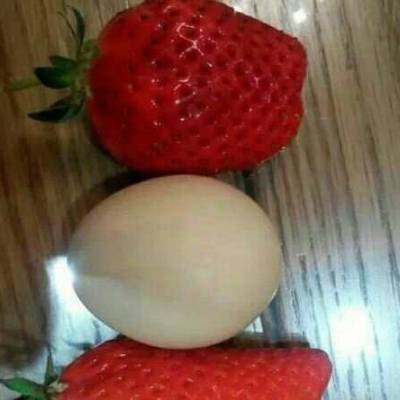 ݮ۸ֺɽ깩ӦƷȫƷ***