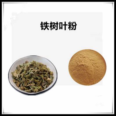 沃特莱斯生物 铁树叶粉 提取液 棕黄色粉末 可水溶