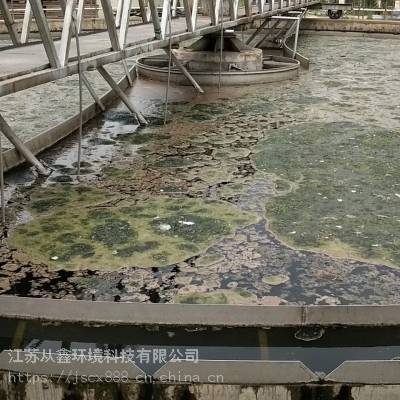 供应武汉污水处理设备 刮吸泥机 江苏从鑫报价