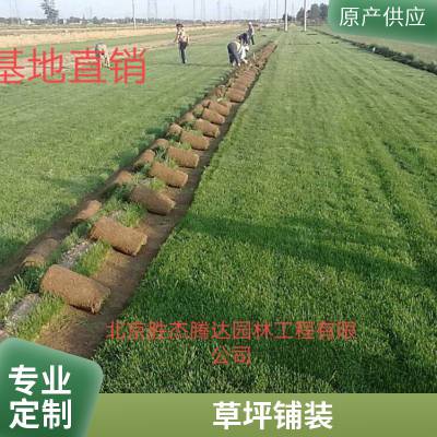 屋顶花园绿化批发别墅花园设计户外高羊茅草坪户外草坪铺装顺义