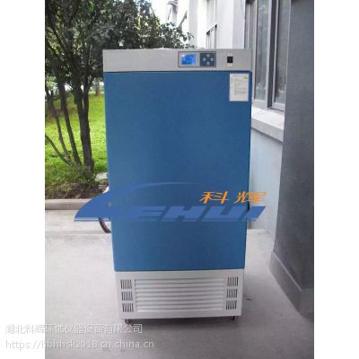 科辉LHS-150SC恒温恒湿箱/湿热试验箱