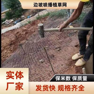 边坡挂网绿化铁丝网 喷浆种草网 矿山复绿客土喷播护坡固土网 好施工