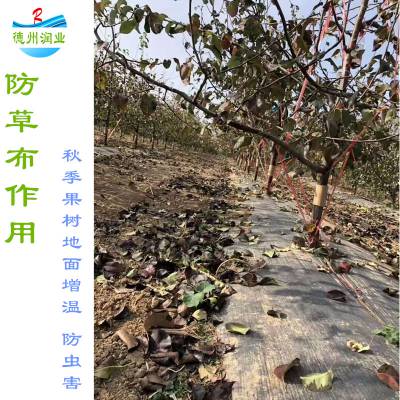 2m宽果园保湿防草布 编织型渗水盖草地布 易铺设年限长 润业