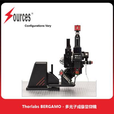 Thorlabs ̖(ho)BERGAMO Bergamo? IIϵж@΢R ɭȪ