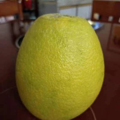 ָɹ