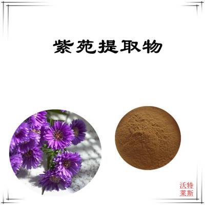 紫苑提取物10:1 速溶粉 食品级原料 沃特莱斯生物 棕黄色粉末