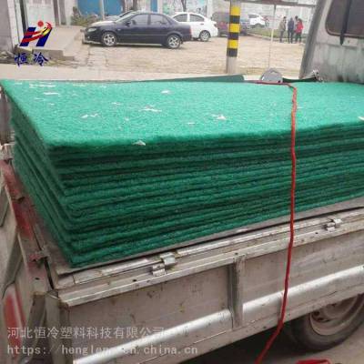 消音毯货源 厚度2公分绿色尼龙丝消音棉 整张1米×2米 恒冷