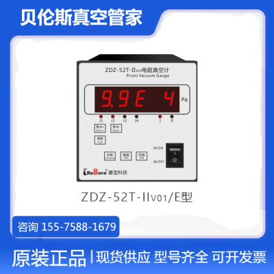 湖南睿宝真空计ZDZ-52T-IIvo1/E型 REBORN 双路电阻
