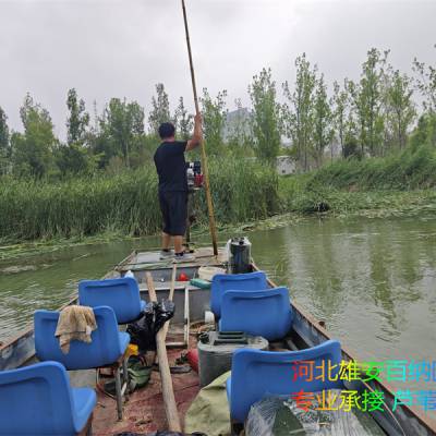 н«έ ˮ  רҵˮˮֲ