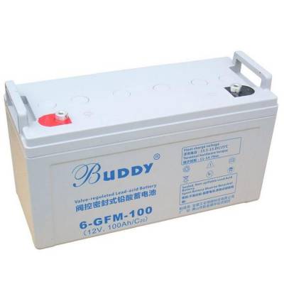 BUDDY 6-GFM-120 ͨѶ12V120AH ֱ  UPSԴ