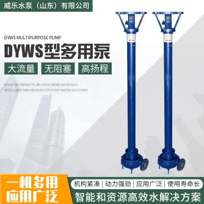 园林灌溉专用DYWS型多用泵立式泥浆泵厂家供应