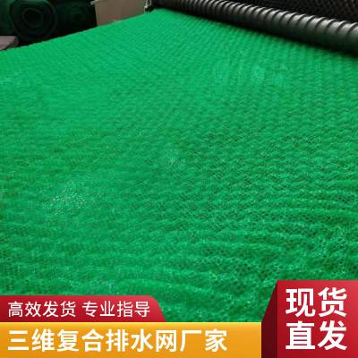 广东世杰三维复合排水网 抗拉强度高 化学性能与物理性能稳定
