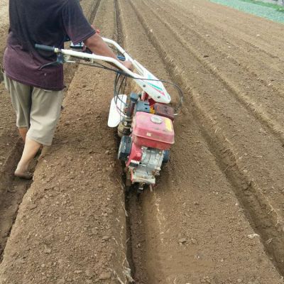 除草起垄管理机 柴油惠民田园管理机 开沟培土旋耕除草起垄机