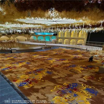 年会舞台地毯 西藏山南桑日 艺术中心地毯 办公宾馆酒店地毯台球厅