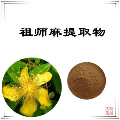 祖师麻提取物10:1 速溶粉 喷雾干燥 沃特莱斯生物 棕黄色粉末