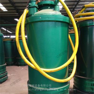 厂家发货BQS矿用防爆潜水泵 携带方便隔爆型潜水泵 BQS潜水泵