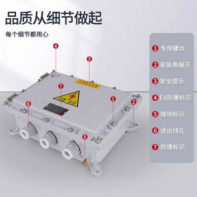 防爆接线箱配电箱 可配装多种类型接线端子 不锈钢控制箱BXJ系列