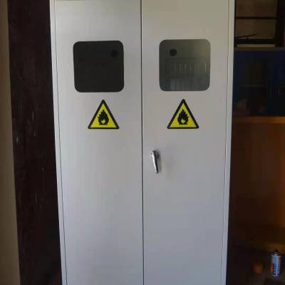 带报警装置气瓶柜二氧化碳工业气体存放柜厂家定制