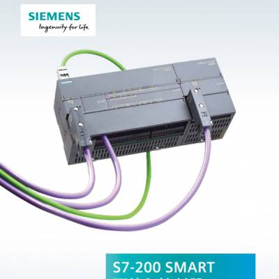 PLCģS7-200SMARTܴ