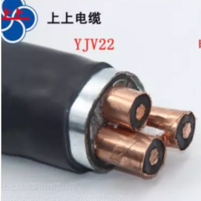 ϵ¼YJV220.6/1KVͭоѹ