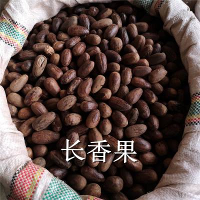 香果树价格 长香果批发 香料圆香果