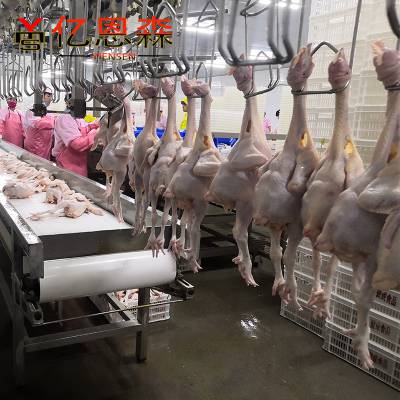 家禽屠宰机械 全自动鸡鸭屠宰流水线 按需定制自动屠宰鸡生产线