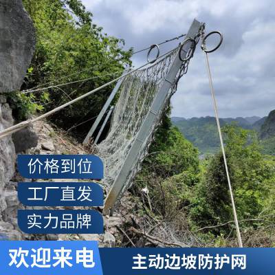 SNS柔性边坡防护网 主动被动安全护坡网 山体防落石钢丝绳网