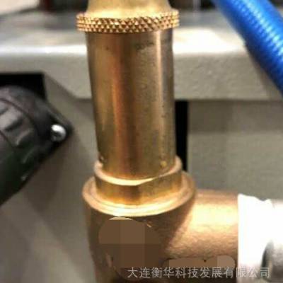 威特泖汇汽车座椅熨烫设备2365蒸汽发生器锅炉进口安全阀 德国