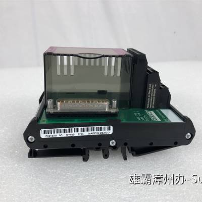 FOXBORO P0916AA 电源适配器