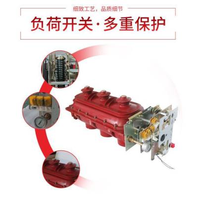 一顿电气直销高压负荷开关FLN36-12D/630-20六氟化硫断路器