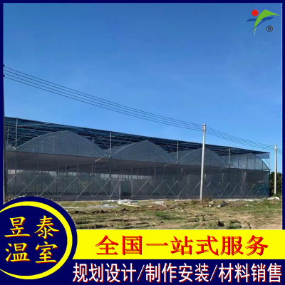 昱泰温室 连栋薄膜温室蔬菜大棚 设计材料施工 YTWSGX1837