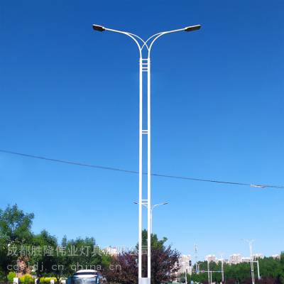 8米10米市电路灯 城市道路照明灯 市政工程道路灯 单双臂综合路灯杆